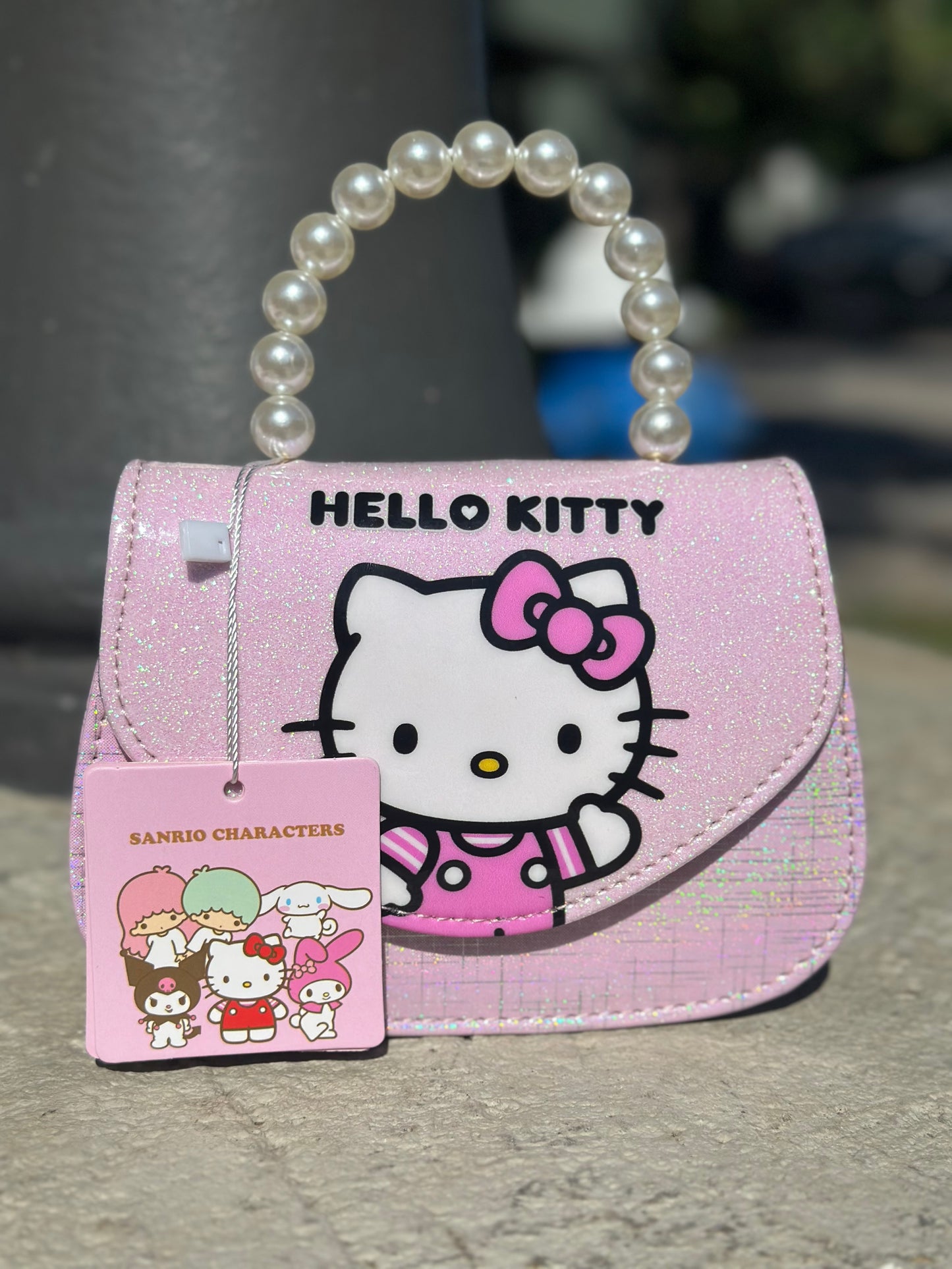 Cute Purse #4