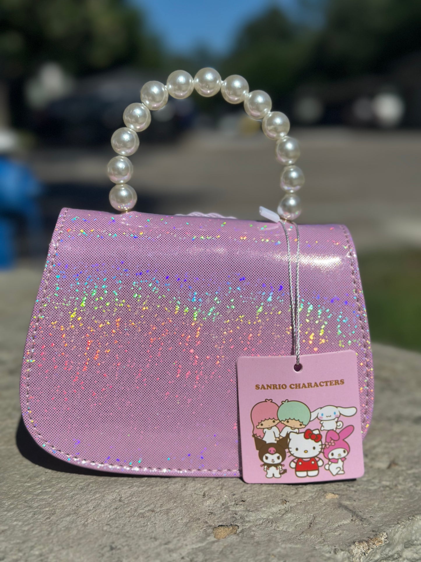 Cute Purse #3