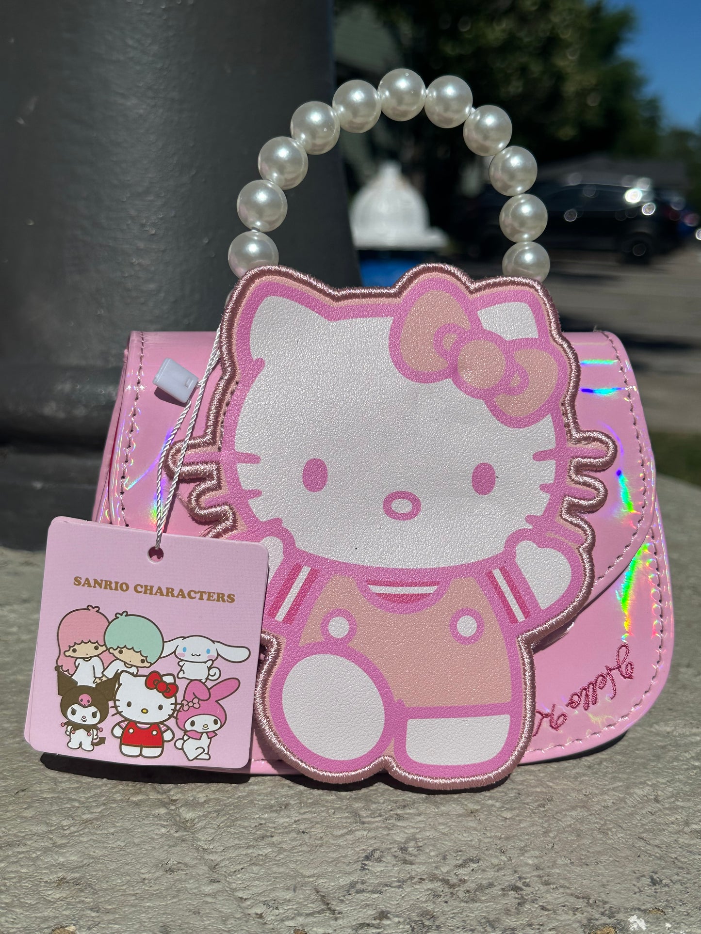 Cute Purse #1