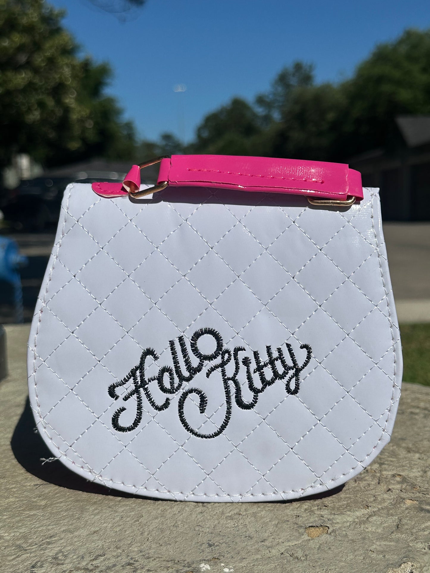 Cute Purse #6