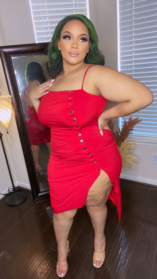 Alice Dress - Plus Size